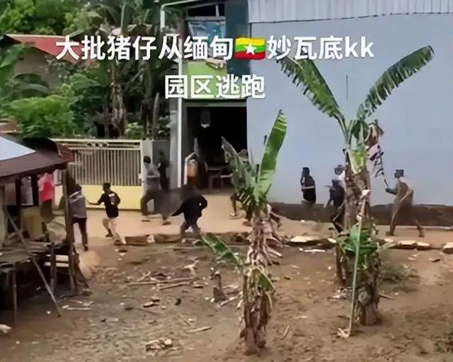 曝光王星近照眼神空洞表情恐惧疑似遭电击AG真人百家家乐平台被折磨麻了！泰媒(图2)