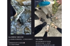 又臭又贵”的溯溪鞋被中产买爆了AG真人百